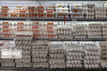 مدیرکل دفتر بازرسی و نظارت بر کالاهای اساسی: قیمت گوشت مرغ و تخم مرغ هیچگونه افزایشی ندارد/برخورد جدی با گران فروشان