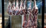 رییس اتحادیه گوشت گوسفندی اعلام کرد؛ آغاز روند نزولی قیمت گوشت در بازار با استمرار و افزایش واردات