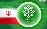 نایب رئیس کمیسیون امنیت ملی: وزارت اطلاعات توطئه‌های پیچیده دشمنان علیه ملت ایران را خنثی کرده است